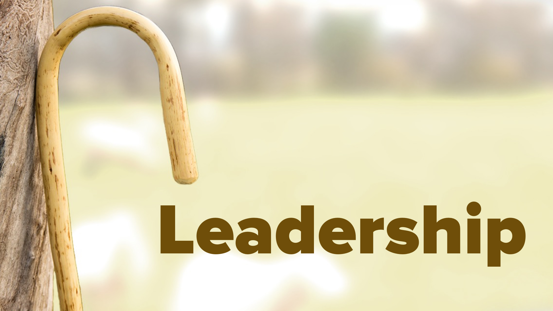 Leadership Class – Session 2