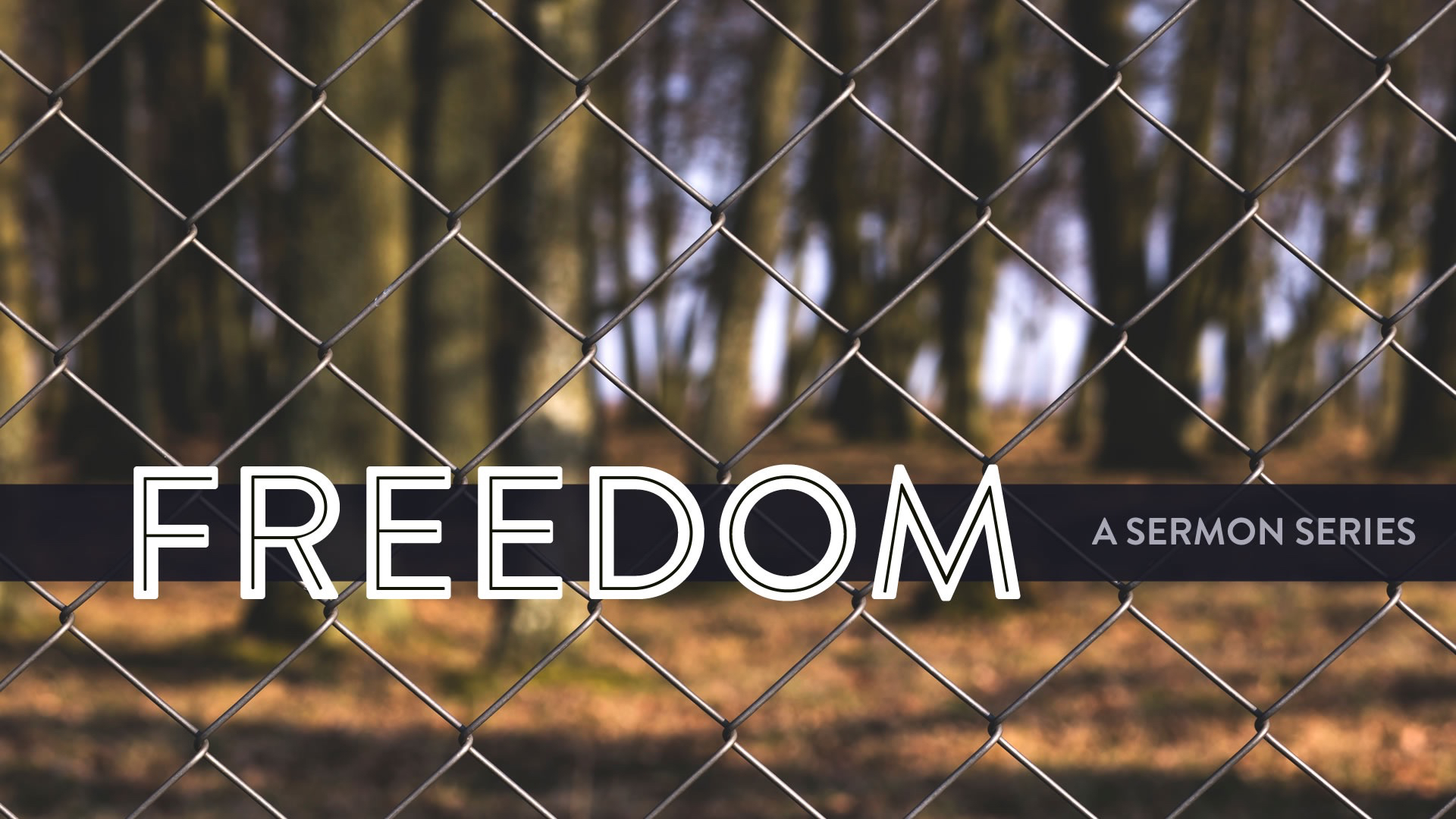 Freedom – Week 5 – Scott Allen