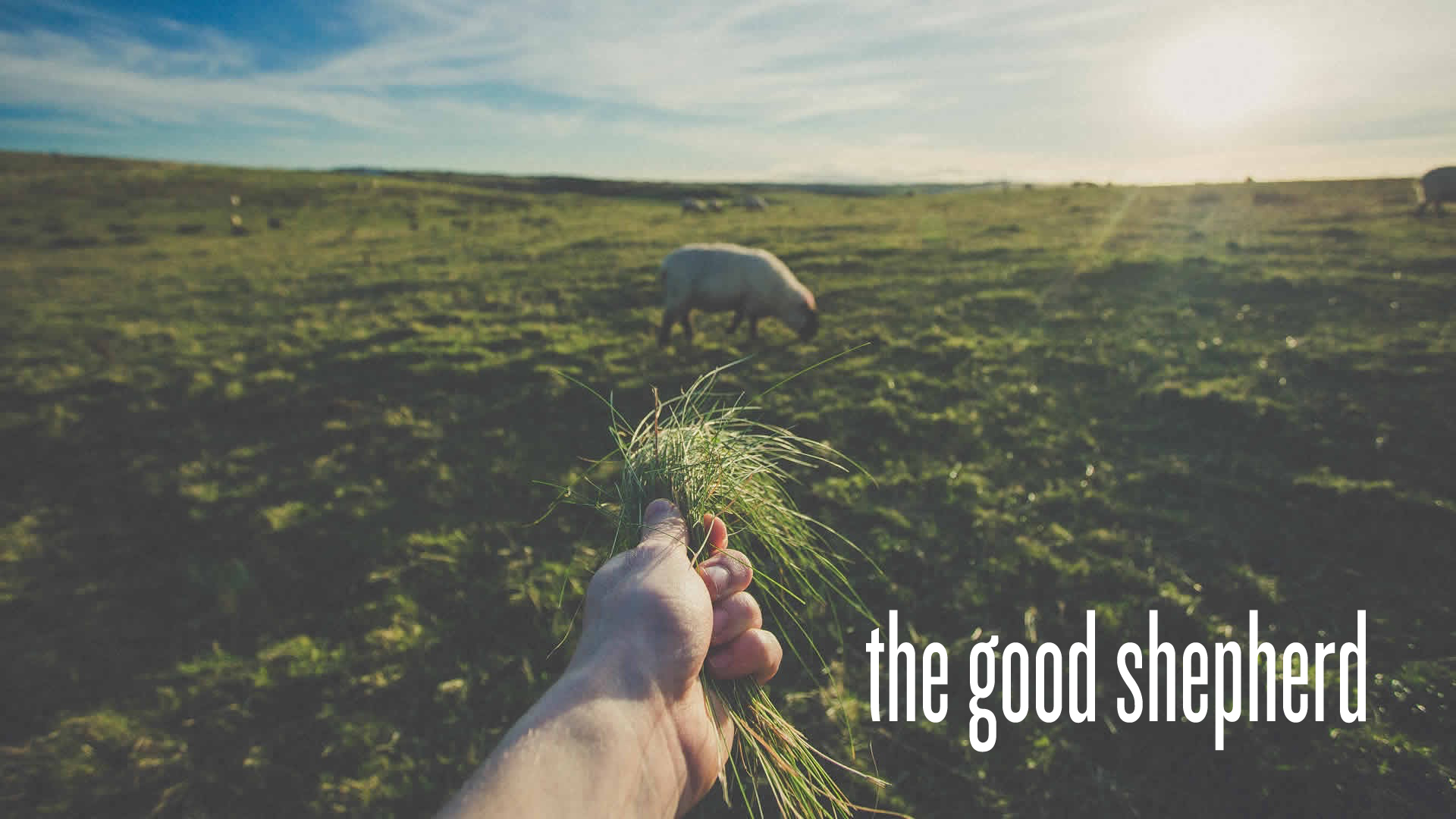 The Good Shepherd: Week 2 – Scott Allen and Charlie Harris