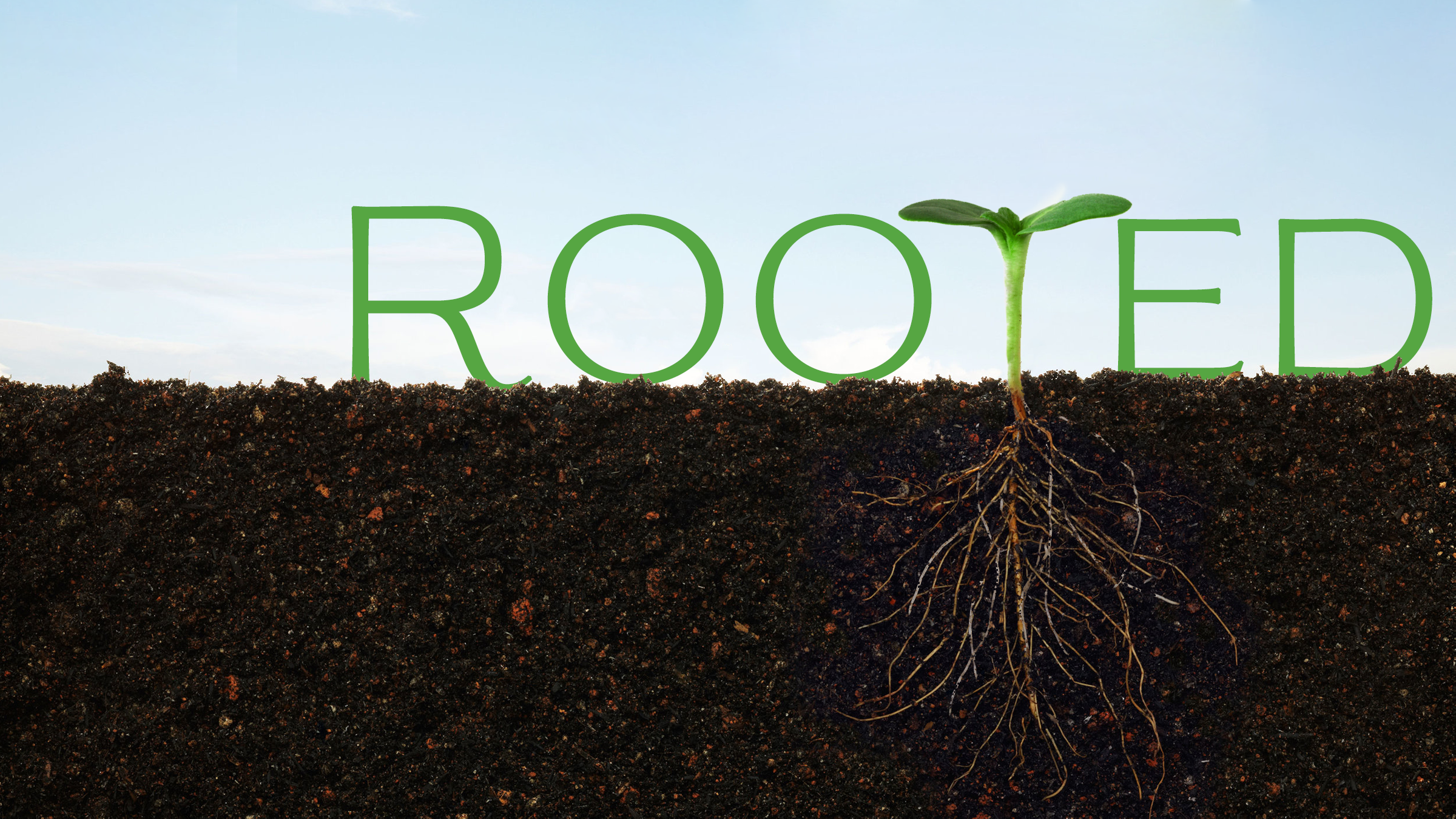 Rooted: Week 5 – Russell Frantz